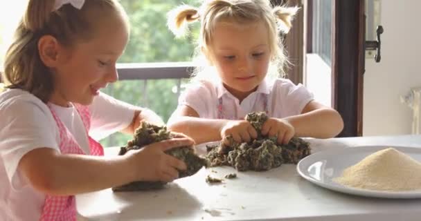 Two beautiful girls cooking cookies during morning light. family cooking, two kids learning by grandma mixing ingredients.Domestic life, family hobbies — Stock Video