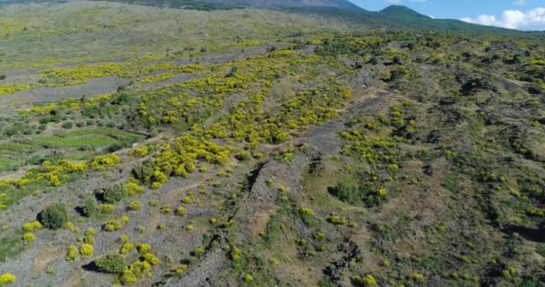 Sicilya dağının havadan görünüşü. Etna volkanı yakınlarındaki kurak kara insansız hava aracı.. — Stok video