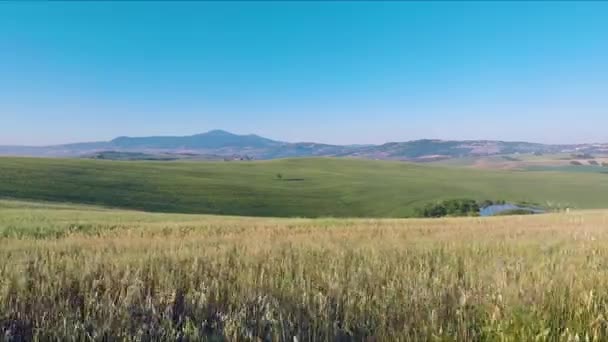 Boven ramen uitzicht op de auto, uitzicht op het platteland terwijl de auto beweegt. Landschap, tarweland, gouden tarweveld, schommelend in een licht zomerbriesje op zonnige dag in Toscane — Stockvideo