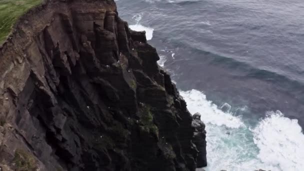 Vista aérea de olas que se estrellan en acantilados, rocas oscuras, océano irlandés, mar agitado, tormenta de olas oceánicas, costa de tormenta, olas oceánicas.nubes y olas en los acantilados de sea.Ireland, las gaviotas vuelan, verano.Irlanda — Vídeos de Stock