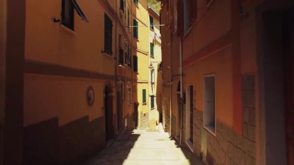 Caminhando por uma antiga rua estreita com estrada de pedra em Cinque Terre. Cidade velha, arquitetura, casas coloridas, becos estreitos na hora de verão. — Vídeo de Stock