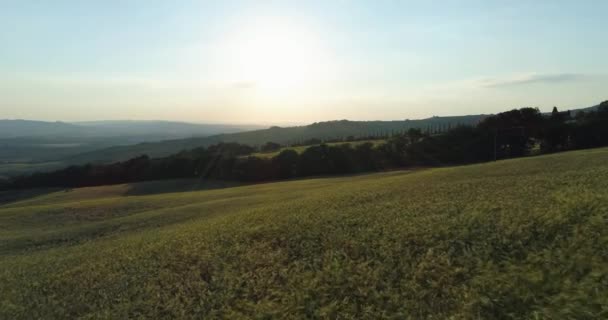 Landstraße in der Toskana bei Sonnenlicht. Luftaufnahme. — Stockvideo