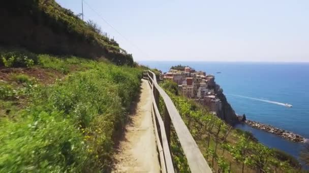 Seaside landscape in a sunny summer day in Cinque Terre. Light blue sea, colored houses in the cliff. Vineyard by the sea.Man walking along dirt track. — Stok video