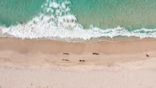 从空中俯瞰海上的日落.美丽的海浪。粉色的沙子和迷人的大海。夏天的海景人们在海滩上散步。水的质感美丽的自然落日的头像. — 图库视频影像
