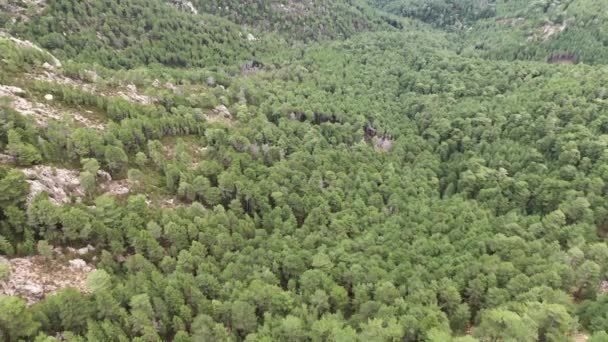 Flygfoto över stenig bergsdal och sommarlandskap i naturen. Ingen natur landskap. Klippig kanjon, i en molnig dag, grön vegetation, skog, träd. — Stockvideo