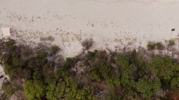 Vista aérea da floresta verde, praia de areia branca e mar azul transparente turquesa com ondas brancas batendo na costa em um dia ensolarado de verão. À beira-mar tropical sem pessoas — Vídeo de Stock