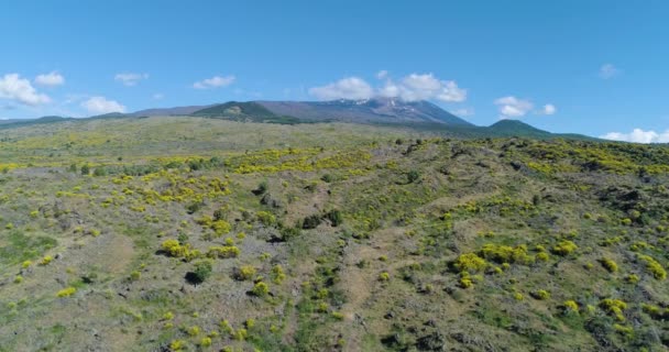 Sicilya dağının havadan görünüşü. Etna volkanı yakınlarındaki kurak kara insansız hava aracı.. — Stok video