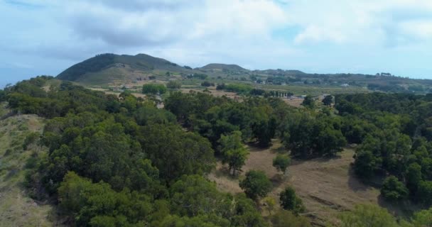 Widok z lotu ptaka na zaplecze wsi Sycylii w lecie. Wszystkie pokryte drzewami, suchą łąką, górami i morzem w tle w pochmurnej podróży. Scena pozamiejska. — Wideo stockowe