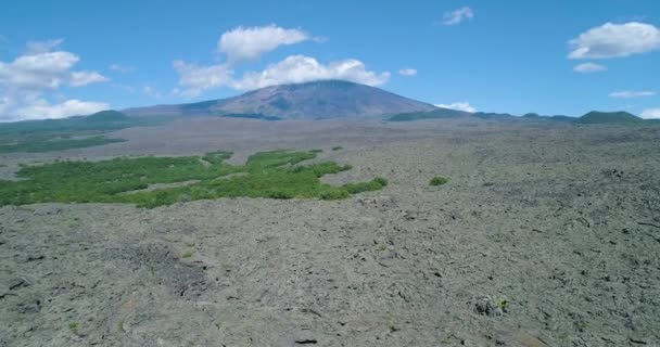 Spectacular drone aerial reveal of active volcano Etna in the beautiful island of Sicily. Clouds cover the top of volcano. Blue sky all around. Just a few bushes in the dry and arid land. — Stock video