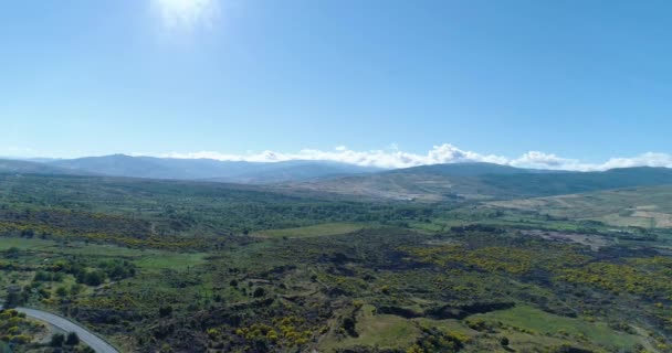 Luchtfoto van het prachtige landschap in Sicilië. Een gebogen weg steekt de vallei over. Groene bomen en struiken bedekken het land rondom in een zomerse dag. Berg, blauwe lucht en wolken op de achtergrond — Stockvideo