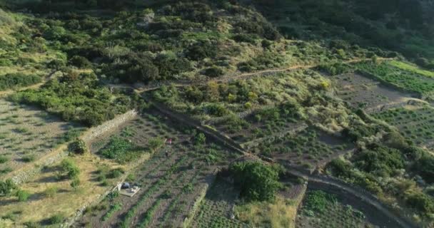 Vista aérea de los campos de campo en Sicilia, escena rural. Aerial view drone shot of agricultural fields in Salina. Campo siciliano en el interior de la isla de Salina. — Vídeos de Stock