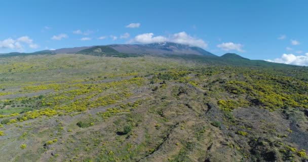 シチリア山の空中ビュー。エトナ火山付近の乾燥した土地の無人航空機. — ストック動画