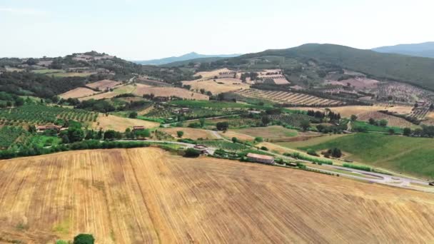 Campo toscano con dron a la hora de verano. Vista aérea de campo de trigo increíble país en tiempo soleado, campos áridos, árboles verdes, olivos — Vídeos de Stock