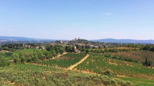 Campagna toscana ripresa con drone in estate di campi di vino, piccolo borgo sullo sfondo. Veduta aerea di incredibili campi coltivati nelle giornate calde, campi aridi, alberi verdi, ulivi — Video Stock