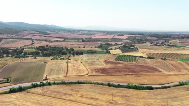 Toscaanse platteland neergeschoten met drone in de zomer. Uitzicht vanuit de lucht op prachtige tarwevelden bij zonnig weer, dorre velden, groene bomen, olijfbomen — Stockvideo