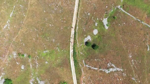 Vista dall'alto di un gruppo di amici in bicicletta lungo una strada sterrata. Cespugli verdi, rocce bianche sui lati della strada. Paesaggio arido pianeggiante campagna in estate giornata di sole. Persone che pedalano, hobby all'aperto. — Video Stock