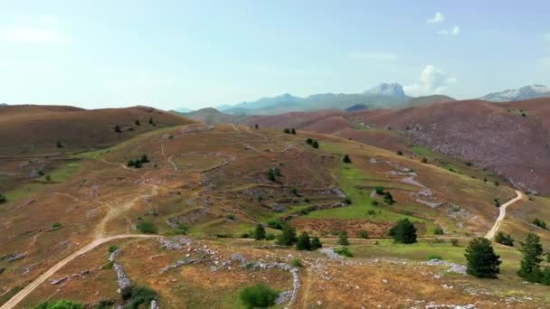 Vista aérea de tierras áridas, algunos arbustos y árboles verdes, cielo azul, montaña en el horizonte, camino sucio, rocas blancas características. paisaje árido campo plano seco en verano día soleado. — Vídeos de Stock