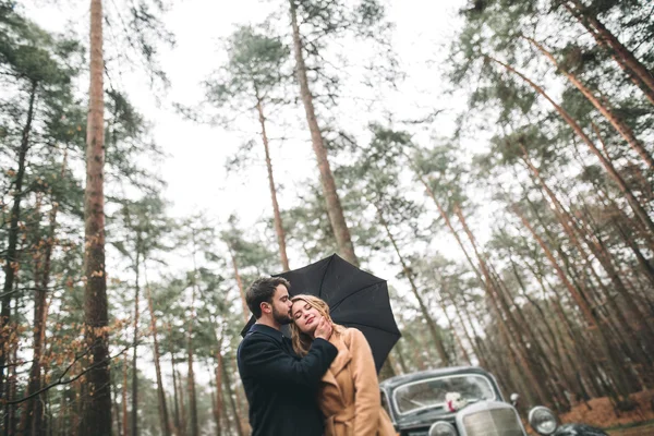 Casal amoroso elegante beijando e abraçando em uma floresta de pinheiros perto de carro retro — Fotografia de Stock