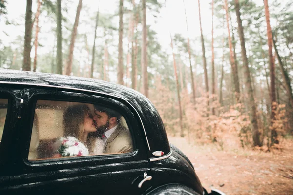 Şık Loving düğün çift öpüşme ve retro car yakınındaki bir çam ormanı içinde sarılma