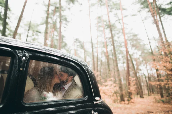 Şık Loving düğün çift öpüşme ve retro car yakınındaki bir çam ormanı içinde sarılma — Stok fotoğraf