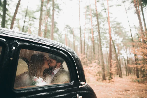 Великолепные молодожёны позируют в сосновом лесу возле ретро-машины в день свадьбы — стоковое фото