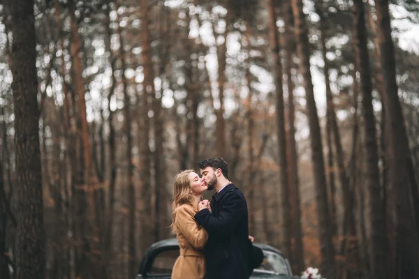 Hermosa novia recién casada y novio posando en un bosque de pinos cerca de coche retro en el día de su boda — Foto de Stock