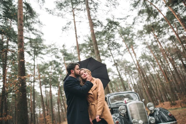 Hermosa novia recién casada y novio posando en un bosque de pinos cerca de coche retro en el día de su boda —  Fotos de Stock