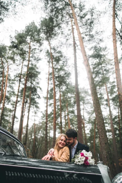 Gorgeous newlywed bride and groom posing in pine forest near retro car in their wedding day — Stok fotoğraf