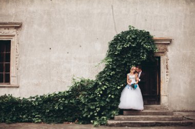 Mutlu düğün kaç sarılma ve birbirlerine arka plan güzel bitkiler kale üzerinde gülümseyen