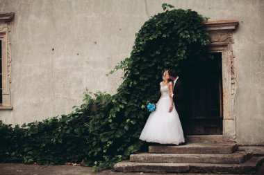 Mutlu düğün kaç sarılma ve birbirlerine arka plan güzel bitkiler kale üzerinde gülümseyen