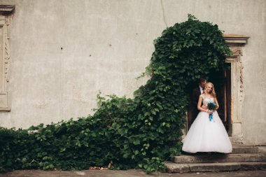 Mutlu düğün kaç sarılma ve birbirlerine arka plan güzel bitkiler kale üzerinde gülümseyen