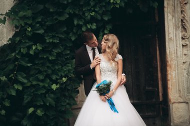 Mutlu düğün kaç sarılma ve birbirlerine arka plan güzel bitkiler kale üzerinde gülümseyen