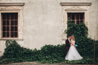 Lüks Çift düğün sarılma ve birbirlerine arka plan güzel bitkiler kale üzerinde gülümseyen