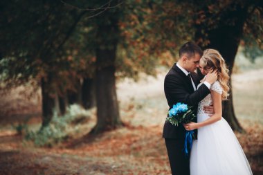 Sonbahar park yürüyüş inanılmaz mutlu nazik şık güzel Romantik Çift