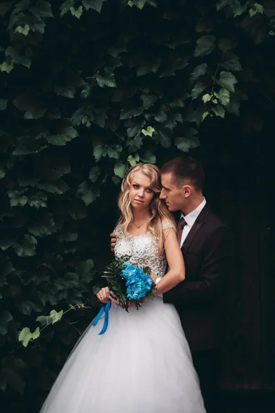 Feliz boda pareja abrazándose y sonriendo el uno al otro en el fondo hermosas plantas en el castillo —  Fotos de Stock