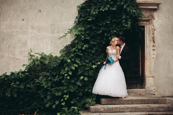 Feliz boda pareja abrazándose y sonriendo el uno al otro en el fondo hermosas plantas en el castillo — Foto de Stock