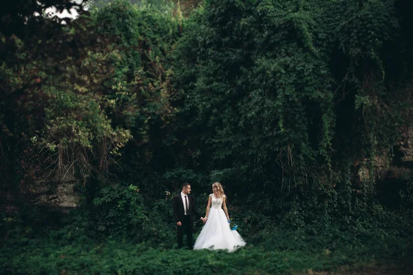 Luksusowe wesele para przytulanie i całowanie na tle przepięknych roślin i jaskini w pobliżu Zamczysko — Zdjęcie stockowe