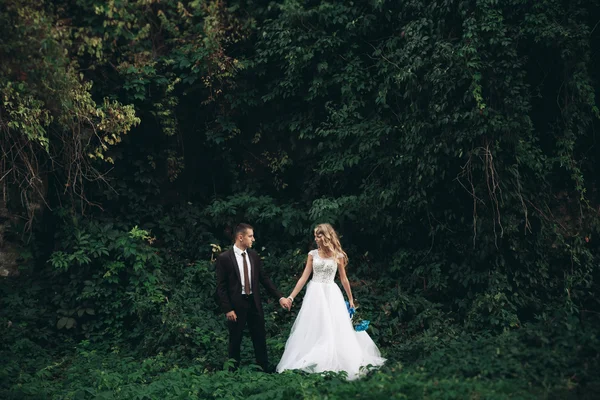 Luxus esküvői pár átölelve és megcsókolta a háttér gyönyörű növények, és a barlang ősi kastély közelében — Stock Fotó