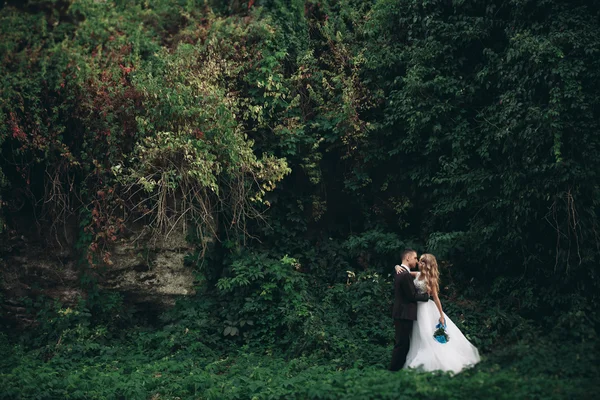 Pareja de boda de lujo abrazos y besos en el fondo hermosas plantas y cueva cerca del antiguo castillo —  Fotos de Stock