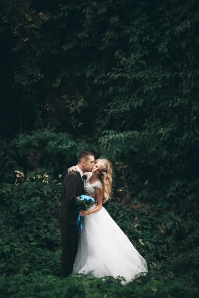 Coppia di nozze di lusso abbracciare e baciare sullo sfondo splendide piante e grotta vicino antico castello — Foto Stock