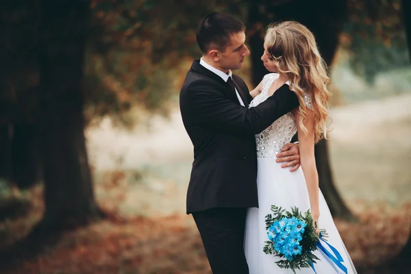 Incrível feliz suave elegante lindo casal romântico caucasiano andando parque de outono — Fotografia de Stock