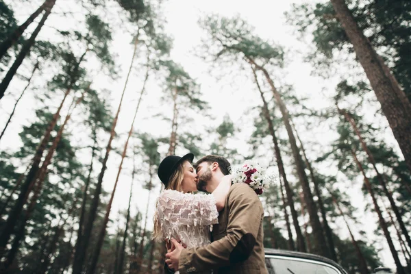 Şık Loving düğün çift öpüşme ve retro car yakınındaki bir çam ormanı içinde sarılma — Stok fotoğraf