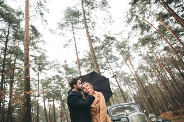 Şık Loving düğün çift öpüşme ve retro car yakınındaki bir çam ormanı içinde sarılma — Stok fotoğraf