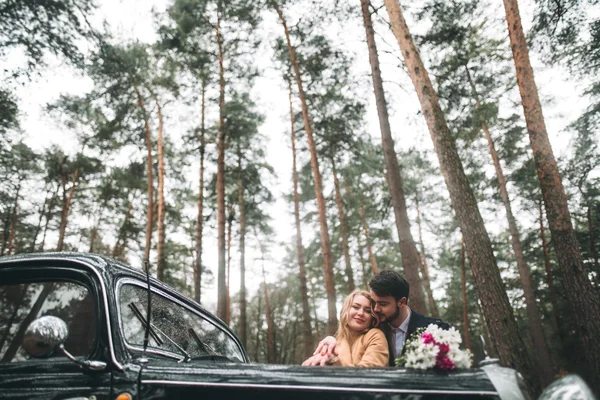 Şık Loving düğün çift öpüşme ve retro car yakınındaki bir çam ormanı içinde sarılma — Stok fotoğraf