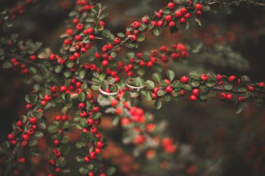Onlara yakın şık dekorasyonu ile lüks alyans