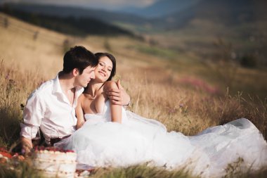 Güzel düğün çifti ile meyve ve pasta Dağları'nın bir arka plan üzerinde piknik