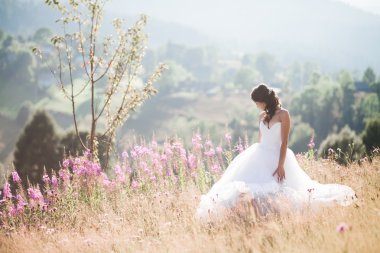 Bir arka plan Dağları'nın güneşli yaz gününde, poz şık elbiseli güzel gelin