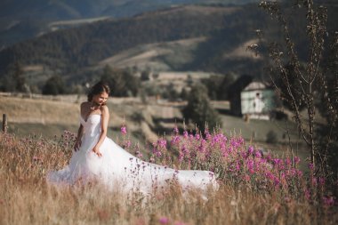 Bir arka plan Dağları'nın güneşli yaz gününde, poz şık elbiseli güzel gelin