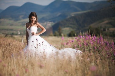 Bir arka plan Dağları'nın güneşli yaz gününde, poz şık elbiseli güzel gelin
