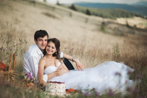 Όμορφο γαμήλιο ζεύγος στο πικ-νικ με φρούτα και κέικ με φόντο βουνά — Φωτογραφία Αρχείου